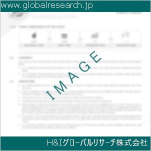 グローバルリサーチ調査資料のイメージ